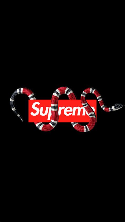 gucci snake wallpaper black|supreme gucci snake wallpaper.